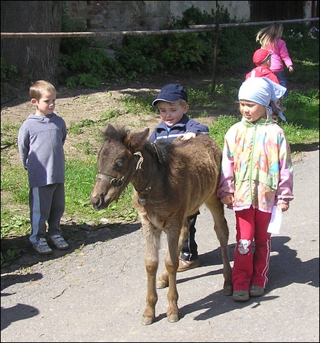 Misijn den - foto 