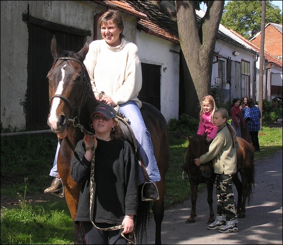 Misijn den - foto 