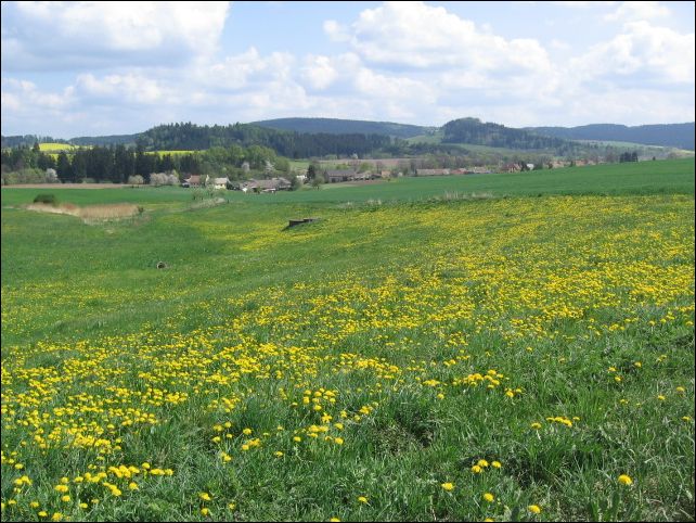 ehnn pol - ..krajinou s hradiskem, mokadem a hodc se loukou.. - foto 9